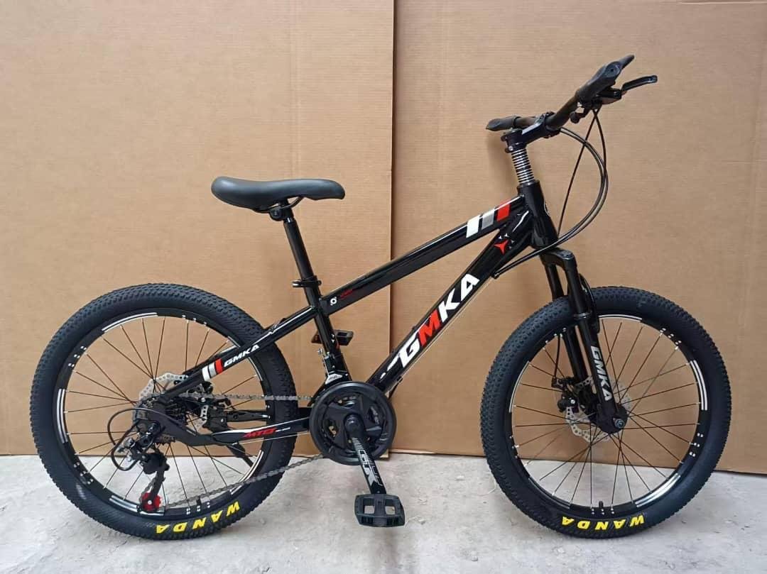 Vélo Enfant 20 Pouces GMKA – VTT avec Suspension Avant, Freins à Disque et Vitesses Maternita Dakar – Image 3